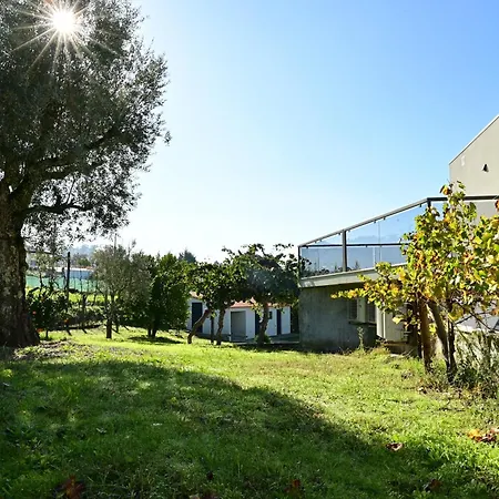 Sapateiro ゲストハウス